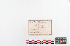 Etiketten zu Bronzebrillenfibel (NHMW-PRAE-024725)